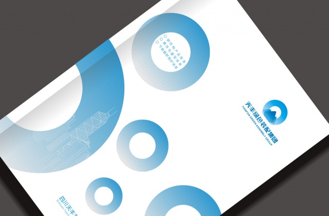 畫冊設計-天豐集團