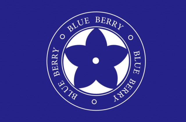 產(chǎn)品包裝-胡牌.藍(lán)莓